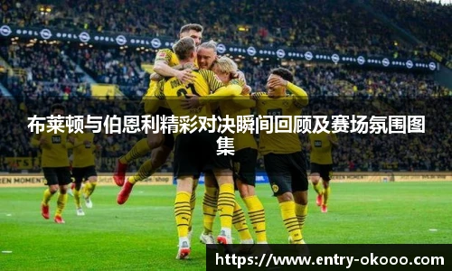 布莱顿与伯恩利精彩对决瞬间回顾及赛场氛围图集