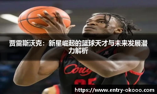 okooo澳客网官网