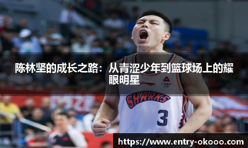 陈林坚的成长之路：从青涩少年到篮球场上的耀眼明星